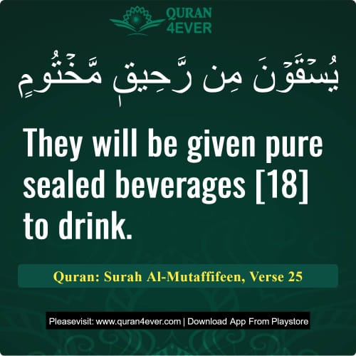 Quran Surah 83 Verse 25