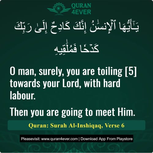 Quran Surah 84 Verse 6