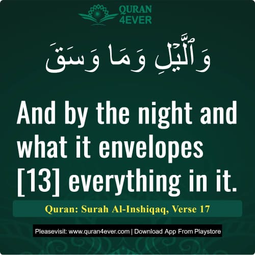 Quran Surah 84 Verse 17