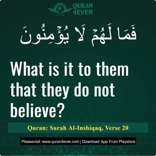 Quran Surah 84 Verse 20