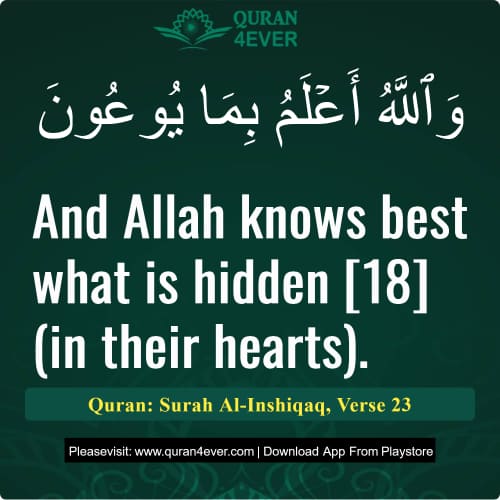 Quran Surah 84 Verse 23