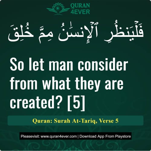 Quran Surah 86 Verse 5