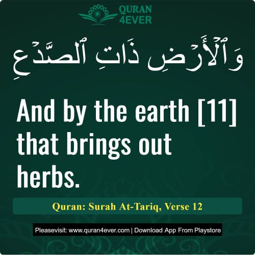 Quran Surah 86 Verse 12