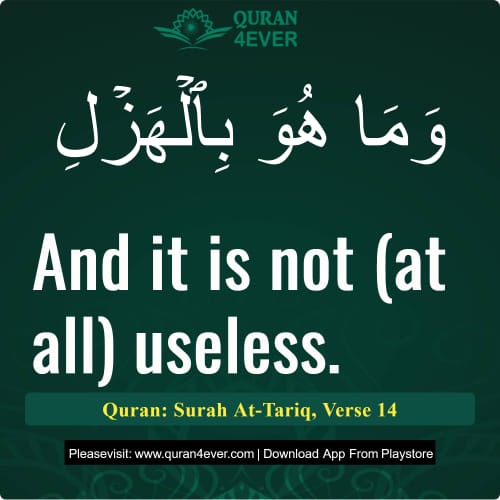 Quran Surah 86 Verse 14