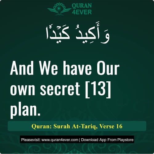 Quran Surah 86 Verse 16