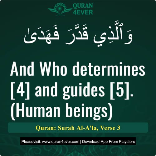 Quran Surah 87 Verse 3