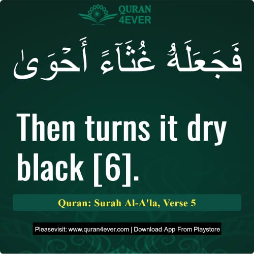 Quran Surah 87 Verse 5