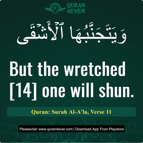Quran Surah 87 Verse 11