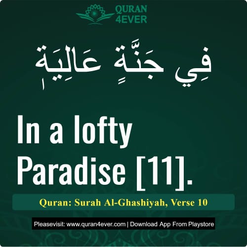 Quran Surah 88 Verse 10
