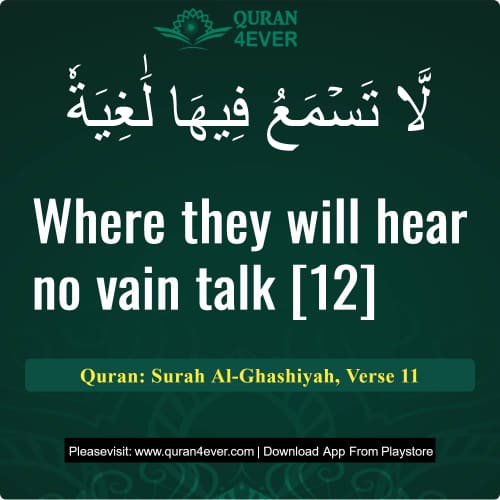 Quran Surah 88 Verse 11