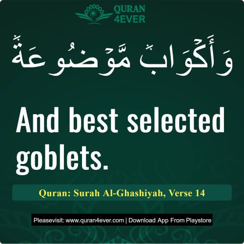 Quran Surah 88 Verse 14