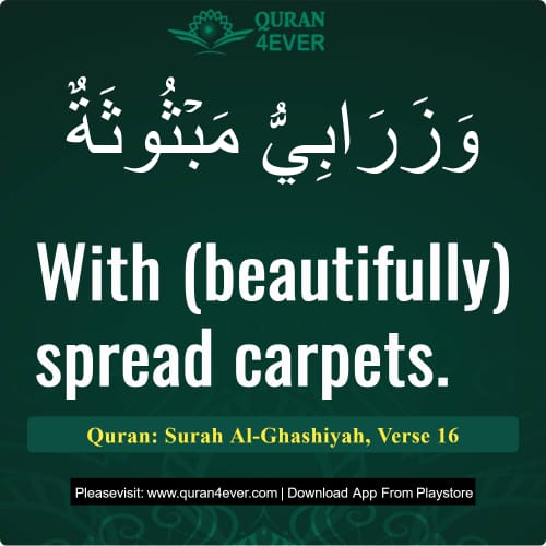 Quran Surah 88 Verse 16