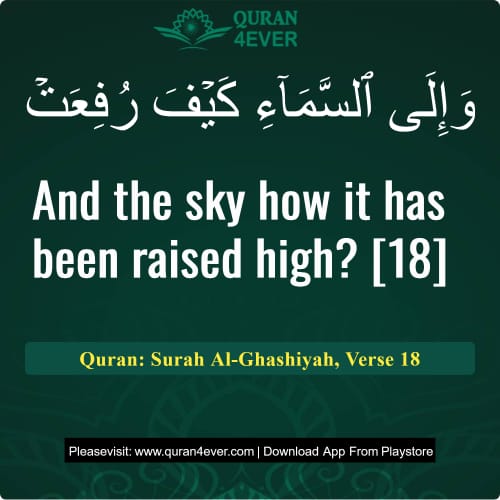 Quran Surah 88 Verse 18