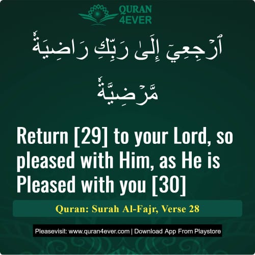 Quran Surah 89 Verse 28