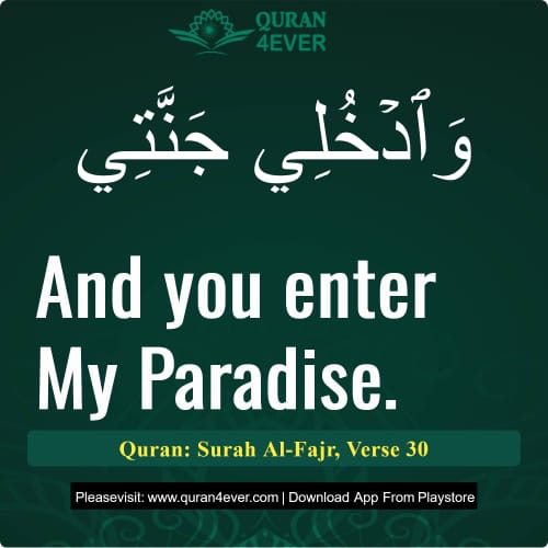 Quran Surah 89 Verse 30