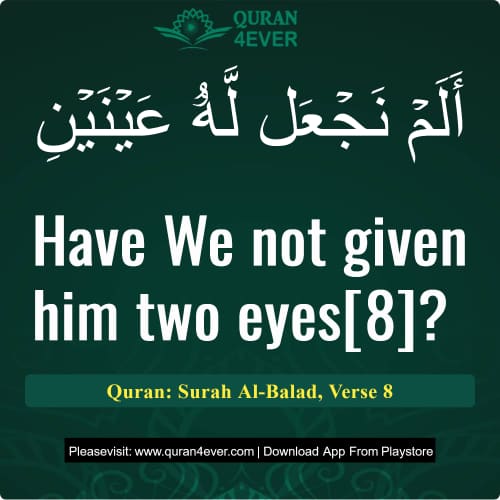 Quran Surah 90 Verse 8