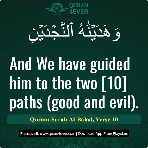 Quran Surah 90 Verse 10