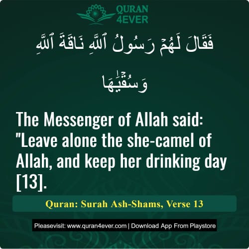 Quran Surah 91 Verse 13