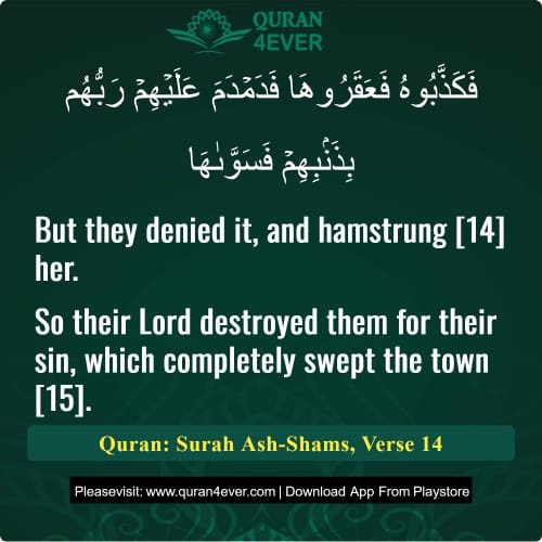 Quran Surah 91 Verse 14