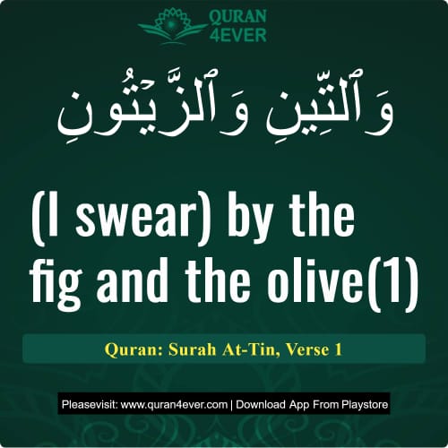 Quran Surah 95 Verse 1