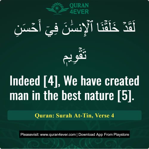 Quran Surah 95 Verse 4