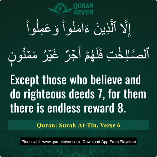 Quran Surah 95 Verse 6