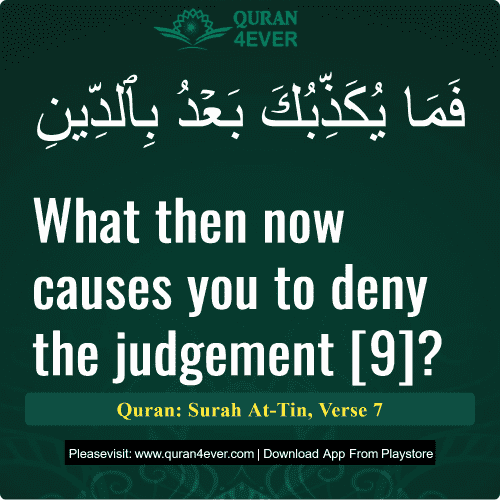 Quran Surah 95 Verse 7