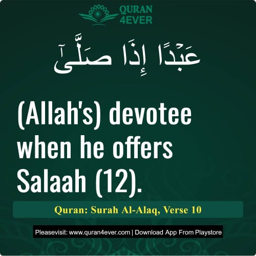 Quran Surah 96 Verse 10