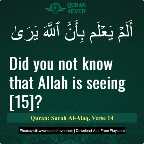 Quran Surah 96 Verse 14
