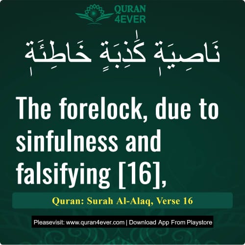 Quran Surah 96 Verse 16