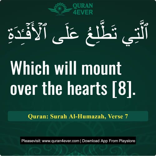 Quran Surah 104 Verse 7