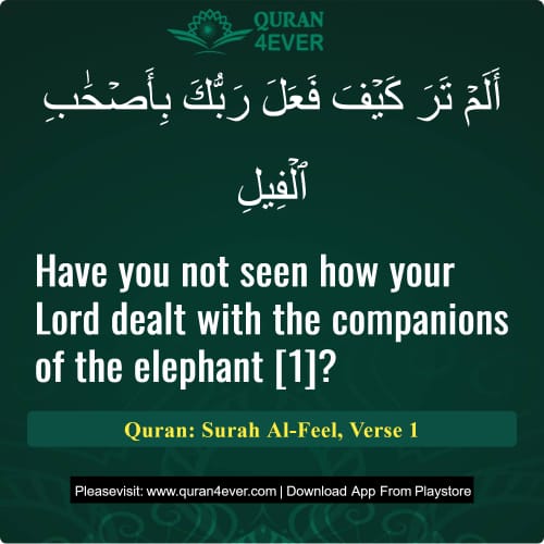 Quran Surah 105 Verse 1