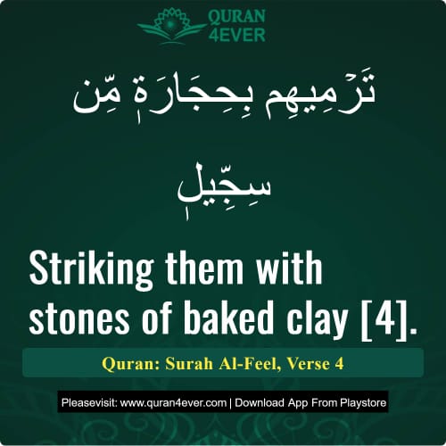Quran Surah 105 Verse 4