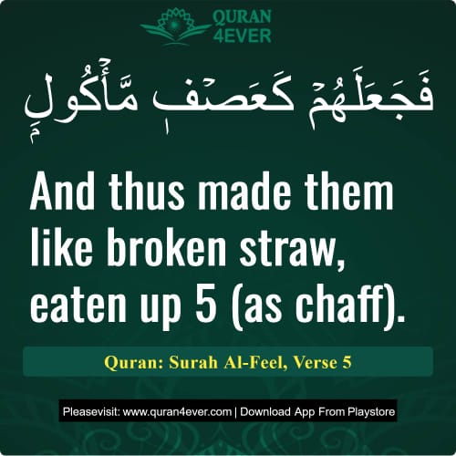 Quran Surah 105 Verse 5