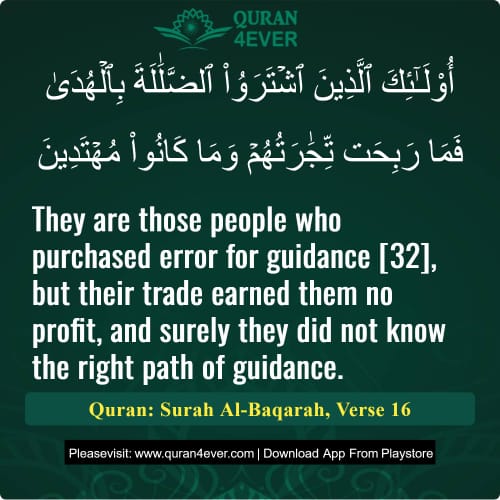 Quran Surah 2 Verse 16