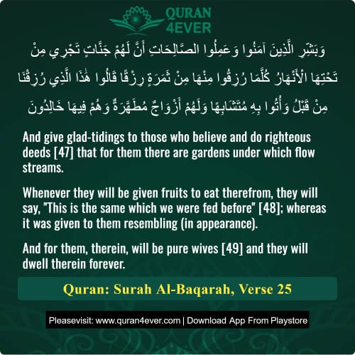 Quran Surah 2 Verse 25
