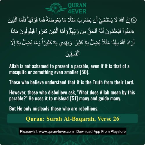 Quran Surah 2 Verse 26