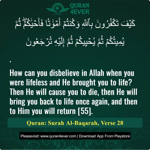 Quran Surah 2 Verse 28