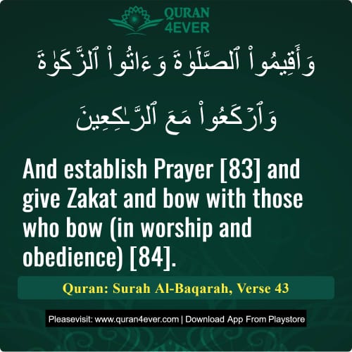 Quran Surah 2 Verse 43