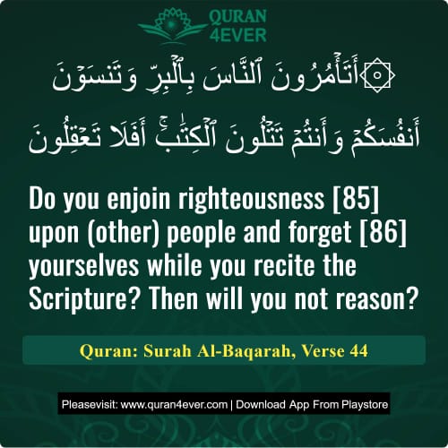 Quran Surah 2 Verse 44