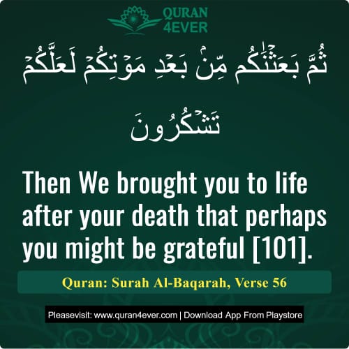 Quran Surah 2 Verse 56