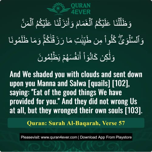 Quran Surah 2 Verse 57