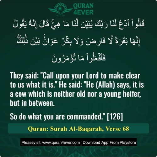 Quran Surah 2 Verse 68