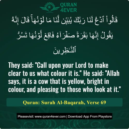 Quran Surah 2 Verse 69