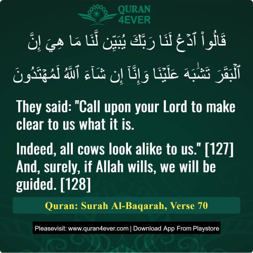 Quran Surah 2 Verse 70