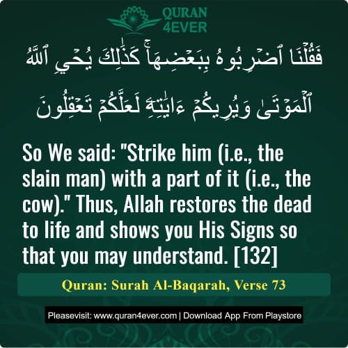 Quran Surah 2 Verse 73