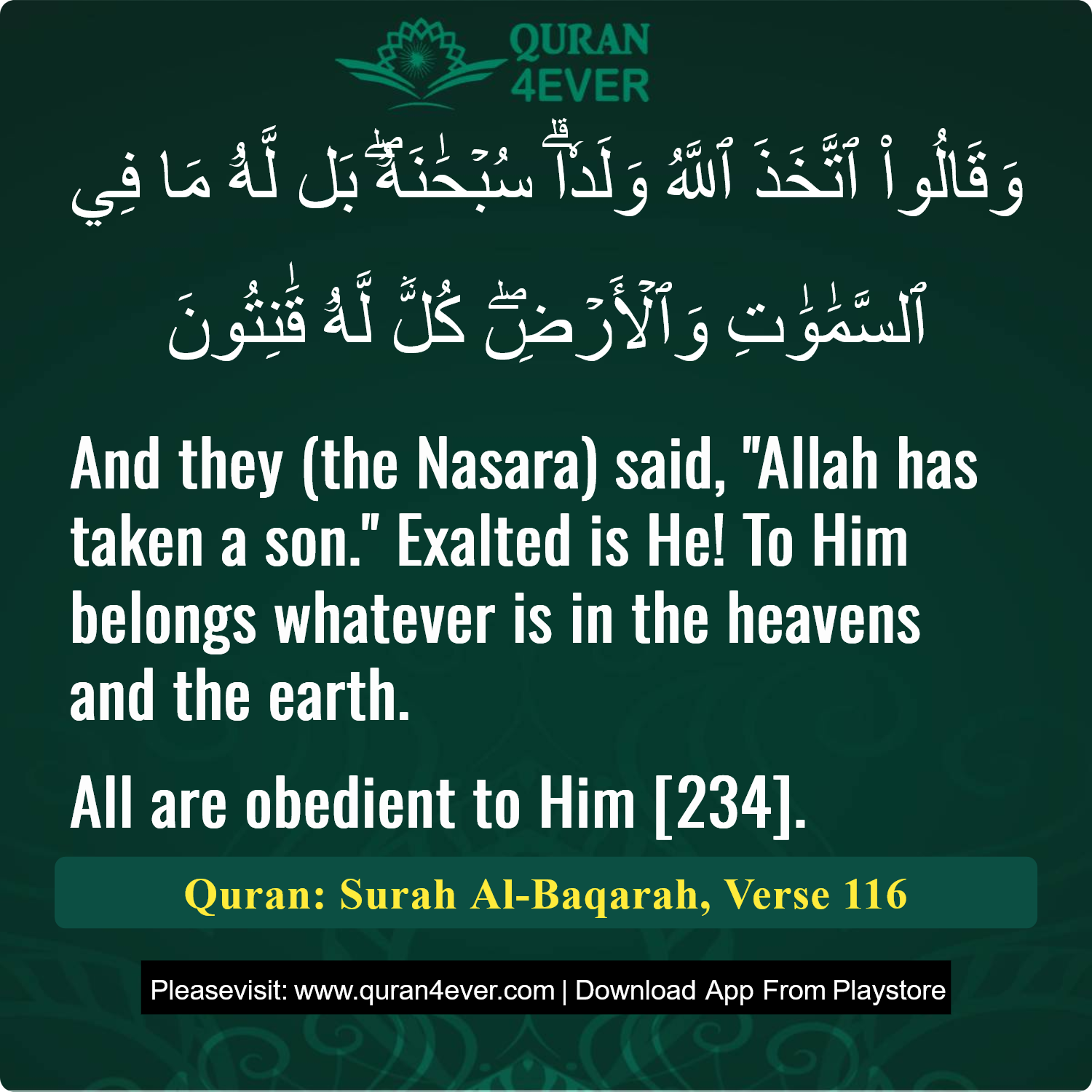 Surah 2, Ayah 116 - Quran Image