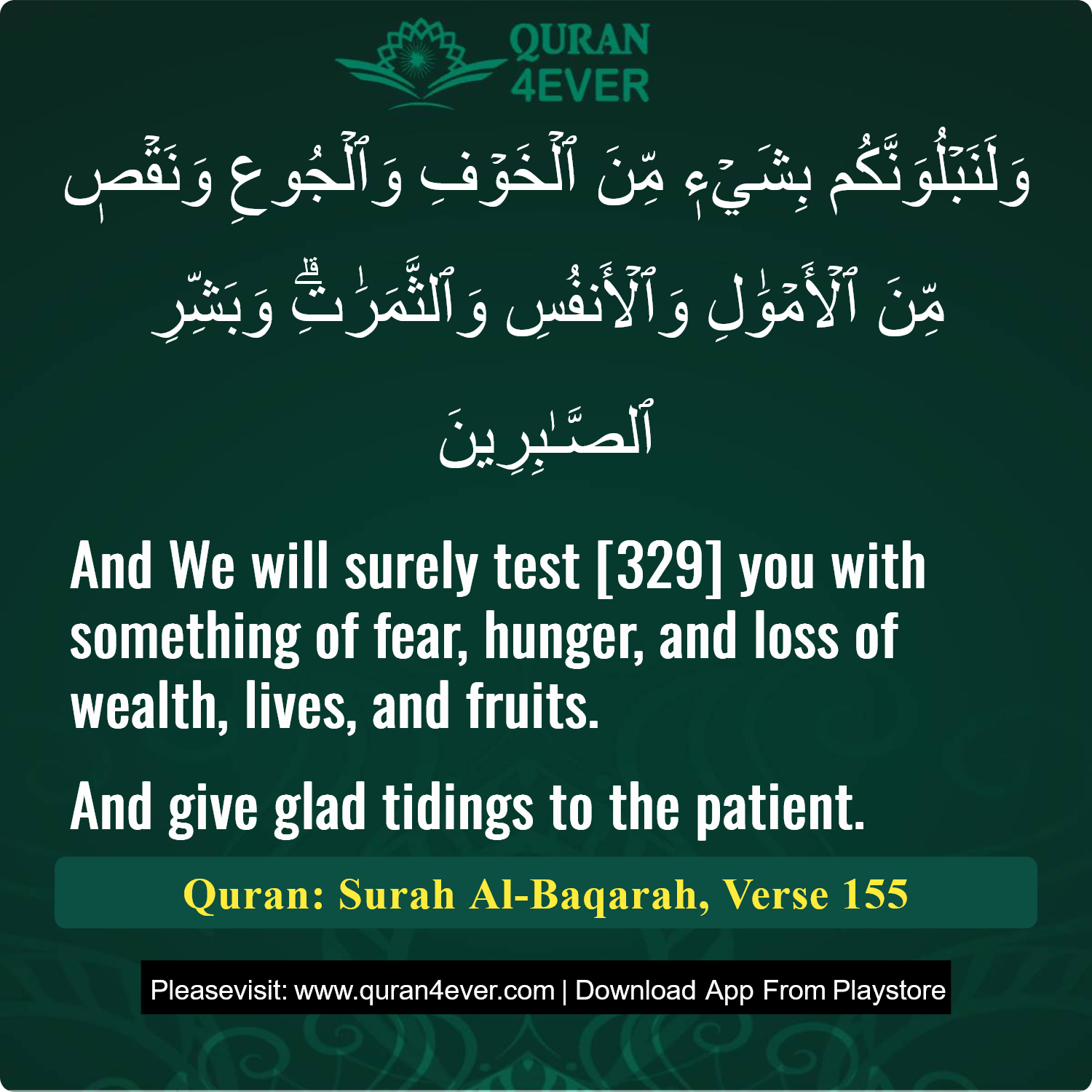Surah 2, Ayah 155 - Quran Image
