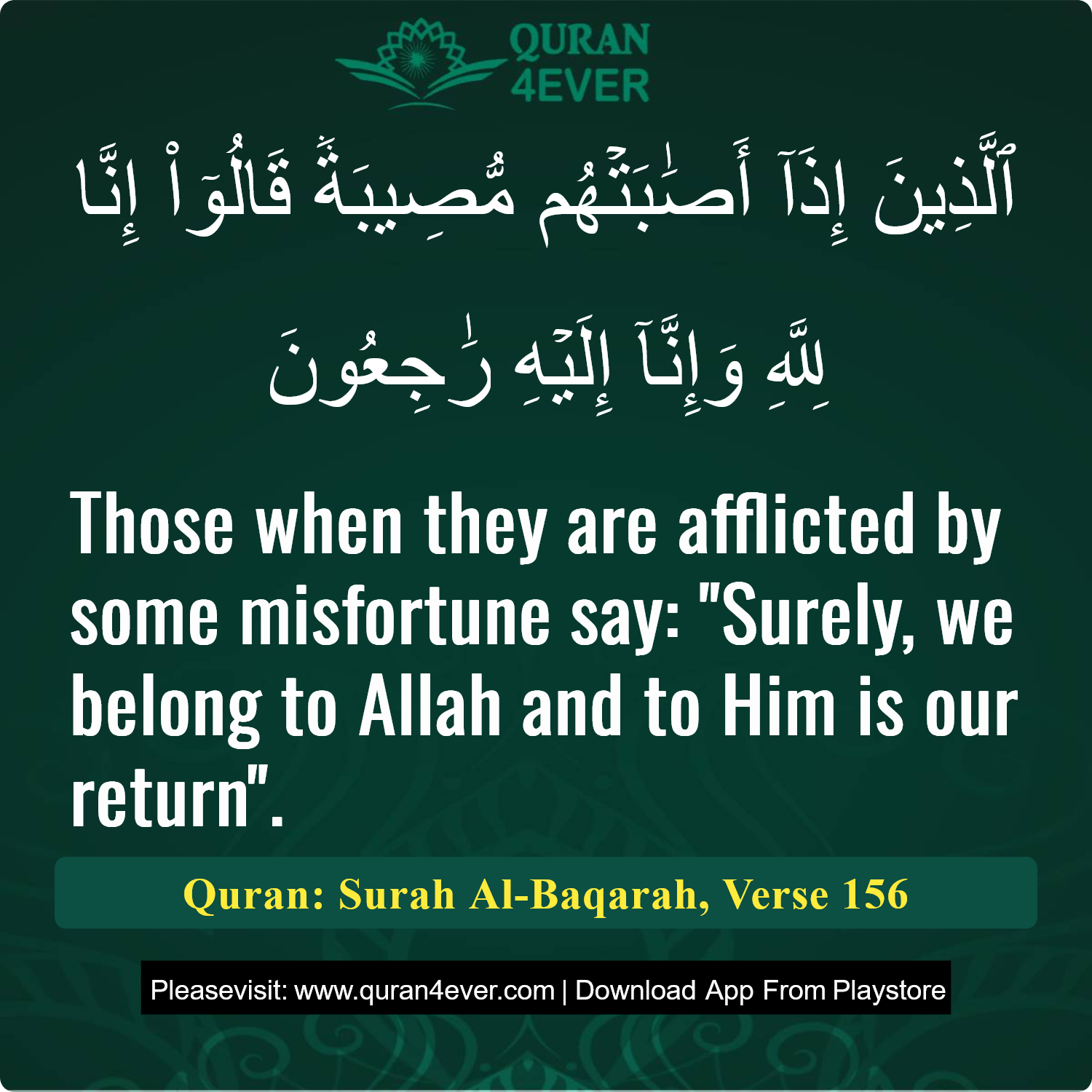 Surah 2, Ayah 156 - Quran Image