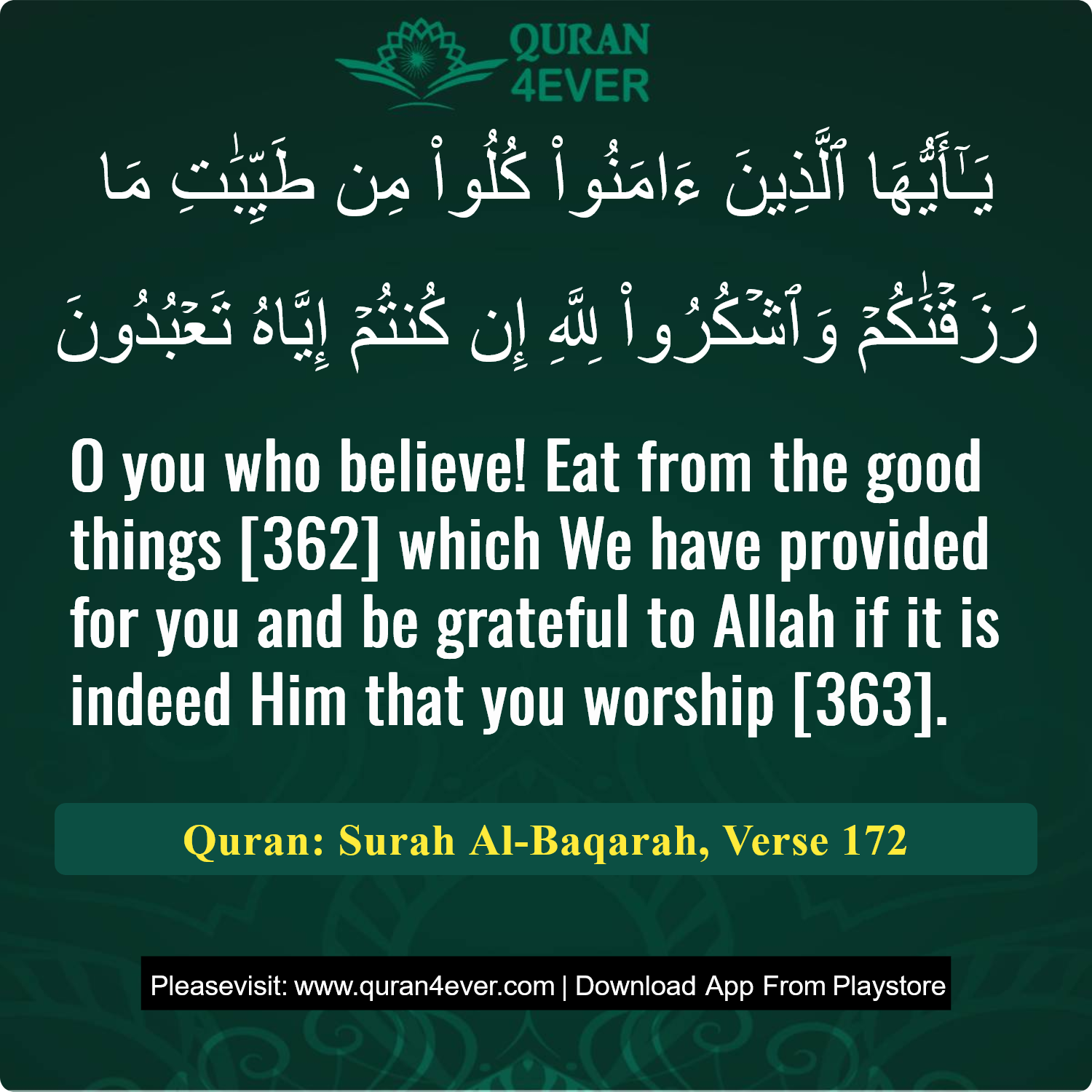 Surah 2, Ayah 172 - Quran Image